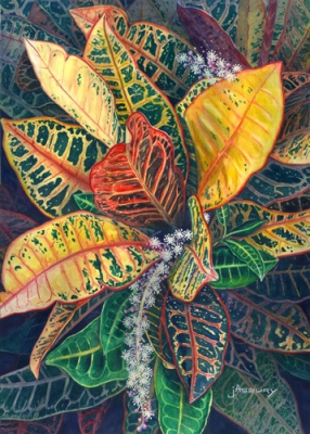 Janet Asbury - 'Blooming Croton'
