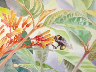 'Loving That Nectar' by Teresa Chin
