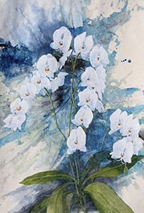 CHAUNCEY NELSON - "White Phalaenopsis"
