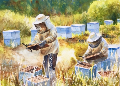 'Beekeepers' by Cindy Sturla