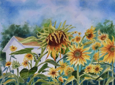 Chin, Teresa  - 'Sunflower Garden'