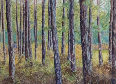Davis, Katherine  - 'A Walk Through the Woods'
