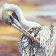 Eagles, Diana  - 'Pelican II-New Smyrna Beach'