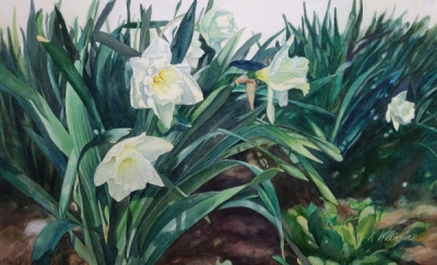 Wilkinson, Rebecca - Field of Daffodils'