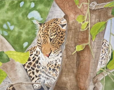 Cole Karen 'Lounging Leopard'