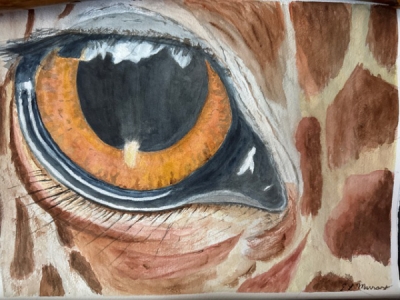 Deborah Murray 'Giraffe Eye'