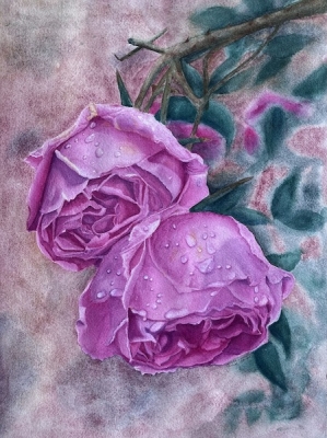 Julie Nieves 'Teyssode Roses'