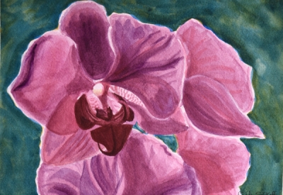 Cynthia Selikoff 'Orchid Rhythm'